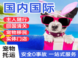 浦东航空快运国际宠物托运 【国
